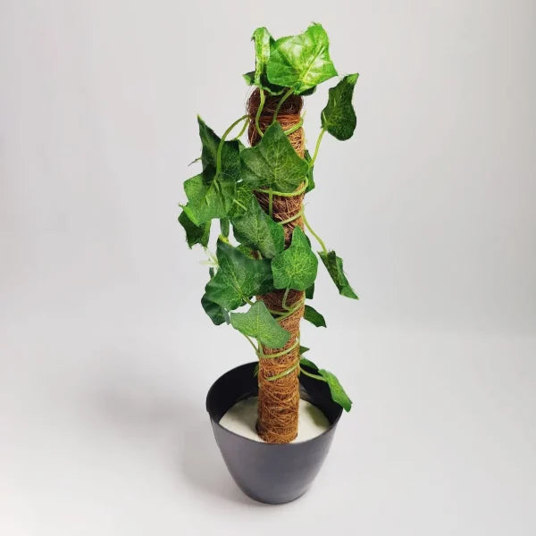 Artificial Money Plant Leave With Coconut Stick Decorative Flowers Plants Best For Home And Office Décoration
